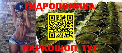 синтетический гашиш Лесосибирск