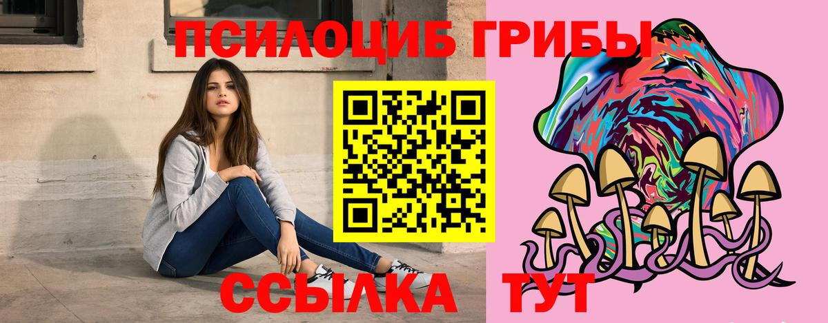 Галлюциногенные грибы Psilocybine cubensis  Вход с VPN  Зеленогорск 